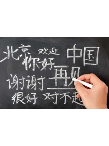 ФИПИ впервые опубликовал проекты КИМ ЕГЭ по китайскому языку