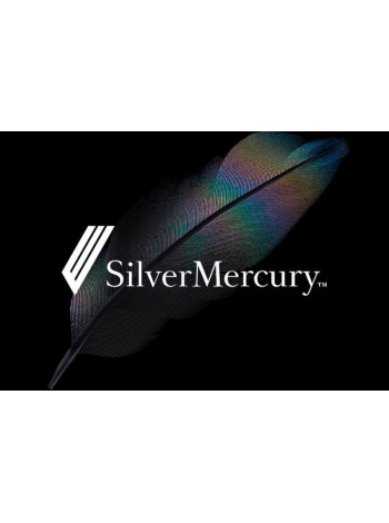 Представители «Просвещения» в составе членов жюри Silver Mercury 2020 