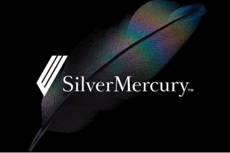 Представители «Просвещения» в составе членов жюри Silver Mercury 2020 